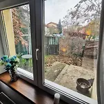 House With A Garden In Pipera Villa Bucharest