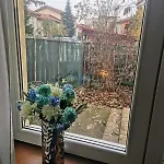 Villa House With A Garden In Pipera *