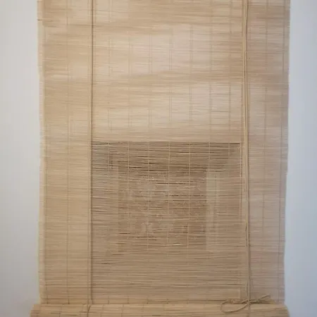 House With A Garden In Pipera