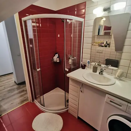 House With A Garden In Pipera Villa Bucharest