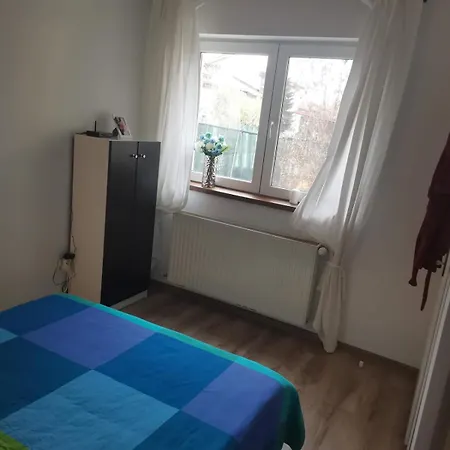 Villa House With A Garden In Pipera