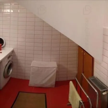 House With A Garden In Pipera בוקרשט