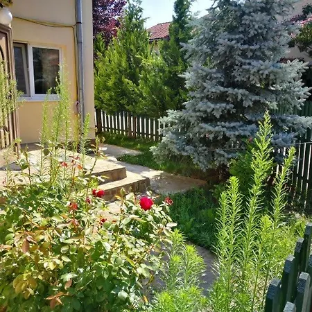 Villa House With A Garden In Pipera