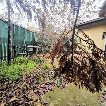 House With A Garden In Pipera Villa