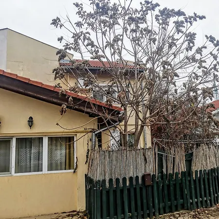 House With A Garden In Pipera * Bucharest