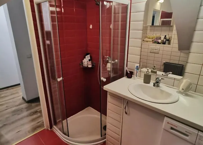 House With A Garden In Pipera Villa Bukarest