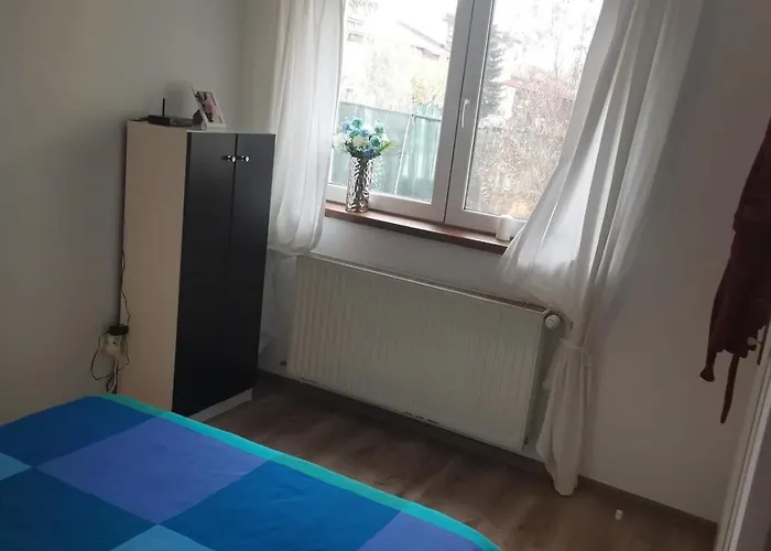 Villa House With A Garden In Pipera