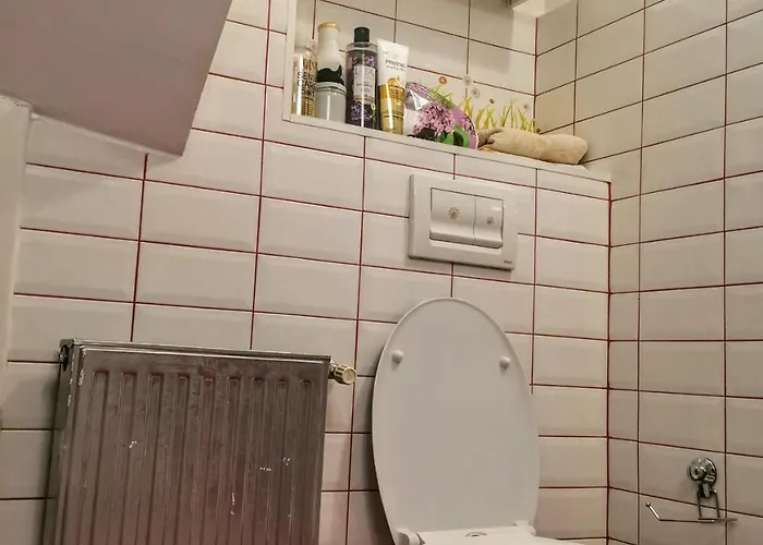 House With A Garden In Pipera Villa *