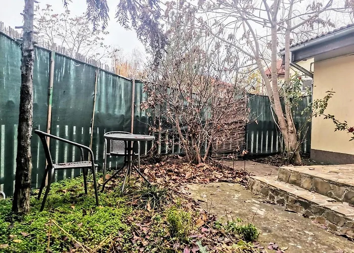 Villa House With A Garden In Pipera