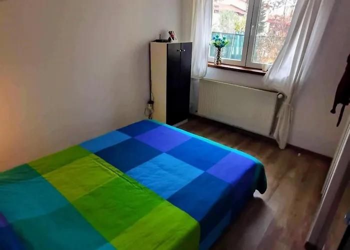 House With A Garden In Pipera Villa *