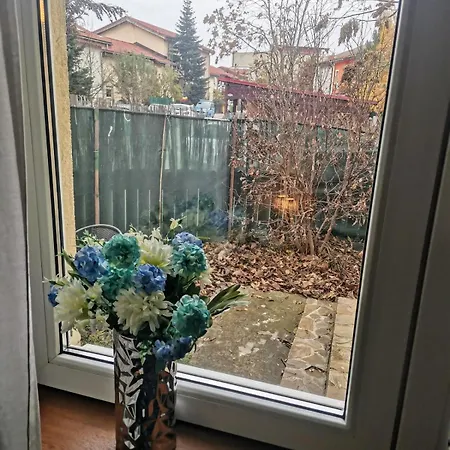 Villa House With A Garden In Pipera *