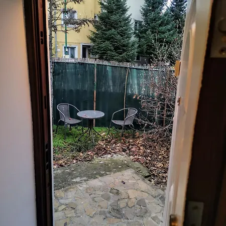 Villa House With A Garden In Pipera