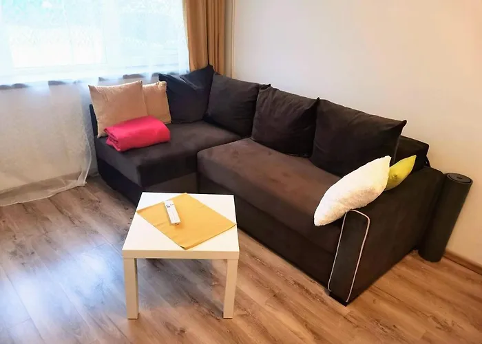 Villa House With A Garden In Pipera *