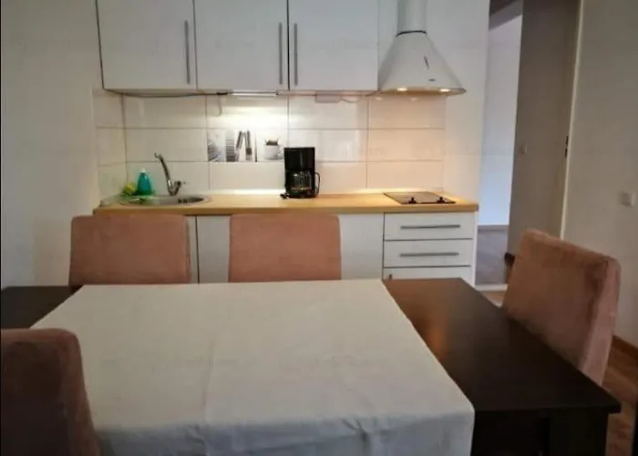 Villa House With A Garden In Pipera