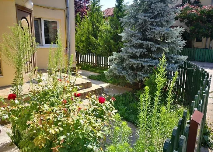 Villa House With A Garden In Pipera