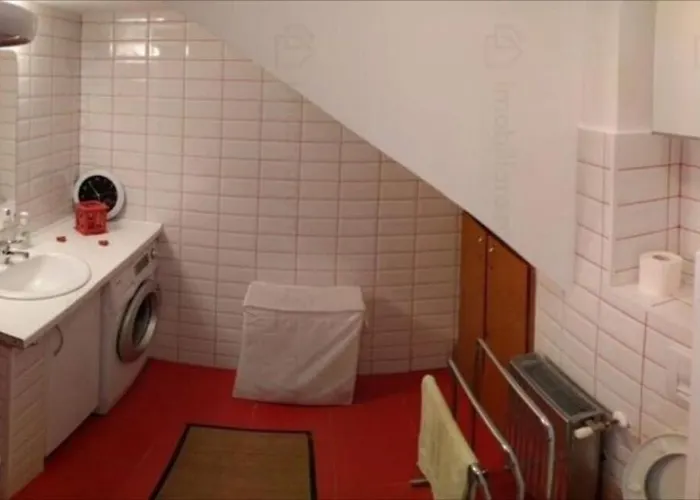 House With A Garden In Pipera 부쿠레슈티